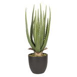 Decoratie kamerplant aloe vera 14*14*46 cm Groen | 6PL0214 | Clayre & Eef