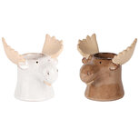 Theelichthouder waxine eland set van 2 wit en bruin 13x10x11 cm | Dekoratief | A205345 Theelichthouder waxine eland set van 2 wit en bruin 13x10x11 cm | Dekoratief | A205345