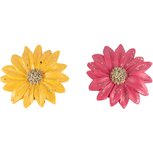 Dekoratief | Deco bloem margriet, fuchsia/geel, resina, 13x12x2cm, set van 2 stuks | A240141 Dekoratief | Deco bloem margriet, fuchsia/geel, resina, 13x12x2cm, set van 2 stuks | A240141