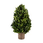 Dekoratief | PlantenKegel vorm op voet, groen/naturel, PVC, 21x21x39cm | A240967 Dekoratief | PlantenKegel vorm op voet, groen/naturel, PVC, 21x21x39cm | A240967