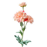 Clayre & Eef   | Kunstbloem Roze Groen 10x8x75 cm | 5PL0159