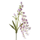 Clayre & Eef   | Decoratie tak met bloemen Paars Groen 15x6x80 cm | 5PL0161LPA