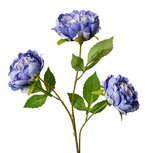 Clayre & Eef   | Decoratie tak met bloemen Paars Groen 12x8x80 cm | 5PL0166BL