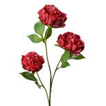 Clayre & Eef   | Decoratie tak met bloemen Rood Groen 12x8x80 cm | 5PL0166R