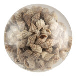 Clayre & Eef | Deurknop Beige ø 5x4 cm / S3 cm | 66062 Clayre & Eef | Deurknop Beige ø 5x4 cm / S3 cm | 66062