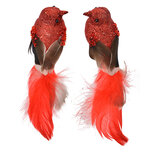 Clayre & Eef   | Decoratie Vogel (Set van 2) Rood Bruin 16x5x5 cm | 66138