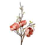 Clayre & Eef   | Decoratie tak met bloemen Roze Bruin 20x20x106 cm | 5PL0169P