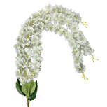 Clayre & Eef   | Kunstbloem guirlande Groen 6x6x108 cm | 6PL0388W