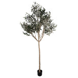 Clayre & Eef   | Decoratie Olijfboom Groen Beige 120x80x240 cm | 5PL0139