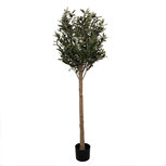 Clayre & Eef   | Decoratie boom Groen 50x50x165 cm | 5PL0148