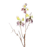 Clayre & Eef   | Decoratie Tak met vlinders Groen 14x5x85 cm | 50806