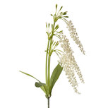 Clayre & Eef   | Decoratie tak met bloemen Wit Groen 14x10x82 cm | 6PL0383W