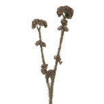 Clayre & Eef | Decoratie tak met bloemen Grijs Groen 6x6x58 cm | 6PL0399G Clayre & Eef | Decoratie tak met bloemen Grijs Groen 6x6x58 cm | 6PL0399G