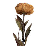 Clayre & Eef | Kunstbloem Geel Groen 10x10x65 cm | 6PL0405Y Clayre & Eef | Kunstbloem Geel Groen 10x10x65 cm | 6PL0405Y