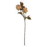 Clayre & Eef   | Decoratie tak met bloemen Beige Groen 12x12x70 cm | 5PL0241BE