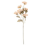 Clayre & Eef   | Decoratie tak met bloemen Beige Groen 8x20x82 cm | 5PL0249BE