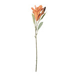 Clayre & Eef   | Decoratie tak met bloemen Oranje Groen 12x16x88 cm | 5PL0252O