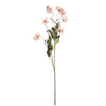 Clayre & Eef   | Decoratie tak met bloemen Roze Groen 14x14x120 cm | 5PL0258P