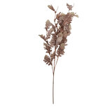 Clayre & Eef   | Decoratie Tak Beige Bruin 10x15x108 cm | 5PL0260BE