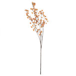 Clayre & Eef   | Decoratie tak met bloemen Oranje Bruin 15x15x135 cm | 5PL0269O