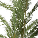 Clayre & Eef   | Kunstplant Palm Groen Zwart 25x25x180 cm | 5PL0231