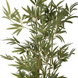 Clayre & Eef   | Kunstplant Bamboe Groen Zwart 35x35x160 cm | 5PL0232