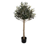 Clayre & Eef   | Decoratie Olijfboom Groen Bruin 45x45x120 cm | 5PL0224