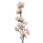 Clayre & Eef   | Decoratie tak met bloemen Wit Bruin 10x7x98 cm | 5PL0271W