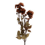 Clayre & Eef   | Decoratie tak met bloemen Oranje Groen 6x10x80 cm | 5PL0272O