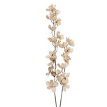 Clayre & Eef   | Decoratie tak met bloemen Beige Bruin 10x10x110 cm | 5PL0274W