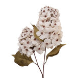 Clayre & Eef   | Decoratie tak met bloemen Wit Groen 12x12x90 cm | 5PL0276W